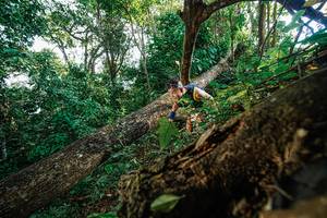 BIB: 
                            <button type="button" onclick="openModal(22778401)" class="btn btn-primary btn-sm float-right btn-popup" data-toggle="modal" data-target=".modal-high-quality">
                        <i class="fas fa-shopping-cart"></i> Add to Cart
                    </button>
                                            <button type="button" onclick="isThisMe(22778401, true)" class="btn btn-success btn-sm float-right btn-popup btn-isme hidden" data-toggle="tooltip" data-placement="bottom" title="นี่คือรูปของคุณใช่ไหม คลิกที่นี่เพื่อเอาเข้าอัลบั้ม">
                        <i class="fas fa-plus"></i> Add to album
                    </button>
                    <button type="button" onclick="isThisMe(22778401, false)" class="btn btn-warning btn-sm float-right btn-popup btn-isnotme hidden">
                        <i class="fas fa-ban"></i> Remove from album
                    </button>