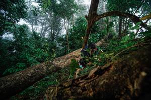 BIB: 
                            <button type="button" onclick="openModal(22778833)" class="btn btn-primary btn-sm float-right btn-popup" data-toggle="modal" data-target=".modal-high-quality">
                        <i class="fas fa-shopping-cart"></i> Add to Cart
                    </button>
                                            <button type="button" onclick="isThisMe(22778833, true)" class="btn btn-success btn-sm float-right btn-popup btn-isme hidden" data-toggle="tooltip" data-placement="bottom" title="นี่คือรูปของคุณใช่ไหม คลิกที่นี่เพื่อเอาเข้าอัลบั้ม">
                        <i class="fas fa-plus"></i> Add to album
                    </button>
                    <button type="button" onclick="isThisMe(22778833, false)" class="btn btn-warning btn-sm float-right btn-popup btn-isnotme hidden">
                        <i class="fas fa-ban"></i> Remove from album
                    </button>