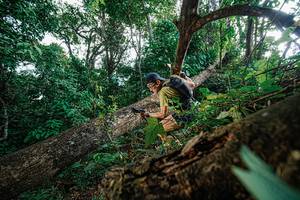 BIB: 
                            <button type="button" onclick="openModal(22778243)" class="btn btn-primary btn-sm float-right btn-popup" data-toggle="modal" data-target=".modal-high-quality">
                        <i class="fas fa-shopping-cart"></i> Add to Cart
                    </button>
                                            <button type="button" onclick="isThisMe(22778243, true)" class="btn btn-success btn-sm float-right btn-popup btn-isme hidden" data-toggle="tooltip" data-placement="bottom" title="นี่คือรูปของคุณใช่ไหม คลิกที่นี่เพื่อเอาเข้าอัลบั้ม">
                        <i class="fas fa-plus"></i> Add to album
                    </button>
                    <button type="button" onclick="isThisMe(22778243, false)" class="btn btn-warning btn-sm float-right btn-popup btn-isnotme hidden">
                        <i class="fas fa-ban"></i> Remove from album
                    </button>