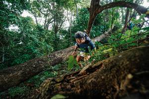 BIB: 
                            <button type="button" onclick="openModal(22778548)" class="btn btn-primary btn-sm float-right btn-popup" data-toggle="modal" data-target=".modal-high-quality">
                        <i class="fas fa-shopping-cart"></i> Add to Cart
                    </button>
                                            <button type="button" onclick="isThisMe(22778548, true)" class="btn btn-success btn-sm float-right btn-popup btn-isme hidden" data-toggle="tooltip" data-placement="bottom" title="นี่คือรูปของคุณใช่ไหม คลิกที่นี่เพื่อเอาเข้าอัลบั้ม">
                        <i class="fas fa-plus"></i> Add to album
                    </button>
                    <button type="button" onclick="isThisMe(22778548, false)" class="btn btn-warning btn-sm float-right btn-popup btn-isnotme hidden">
                        <i class="fas fa-ban"></i> Remove from album
                    </button>