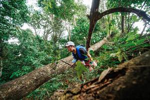 BIB: 
                            <button type="button" onclick="openModal(22779328)" class="btn btn-primary btn-sm float-right btn-popup" data-toggle="modal" data-target=".modal-high-quality">
                        <i class="fas fa-shopping-cart"></i> Add to Cart
                    </button>
                                            <button type="button" onclick="isThisMe(22779328, true)" class="btn btn-success btn-sm float-right btn-popup btn-isme hidden" data-toggle="tooltip" data-placement="bottom" title="นี่คือรูปของคุณใช่ไหม คลิกที่นี่เพื่อเอาเข้าอัลบั้ม">
                        <i class="fas fa-plus"></i> Add to album
                    </button>
                    <button type="button" onclick="isThisMe(22779328, false)" class="btn btn-warning btn-sm float-right btn-popup btn-isnotme hidden">
                        <i class="fas fa-ban"></i> Remove from album
                    </button>