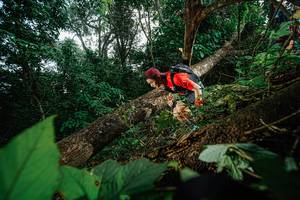 BIB: 
                            <button type="button" onclick="openModal(22776879)" class="btn btn-primary btn-sm float-right btn-popup" data-toggle="modal" data-target=".modal-high-quality">
                        <i class="fas fa-shopping-cart"></i> Add to Cart
                    </button>
                                            <button type="button" onclick="isThisMe(22776879, true)" class="btn btn-success btn-sm float-right btn-popup btn-isme hidden" data-toggle="tooltip" data-placement="bottom" title="นี่คือรูปของคุณใช่ไหม คลิกที่นี่เพื่อเอาเข้าอัลบั้ม">
                        <i class="fas fa-plus"></i> Add to album
                    </button>
                    <button type="button" onclick="isThisMe(22776879, false)" class="btn btn-warning btn-sm float-right btn-popup btn-isnotme hidden">
                        <i class="fas fa-ban"></i> Remove from album
                    </button>