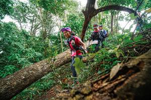 BIB: 
                            <button type="button" onclick="openModal(22779191)" class="btn btn-primary btn-sm float-right btn-popup" data-toggle="modal" data-target=".modal-high-quality">
                        <i class="fas fa-shopping-cart"></i> Add to Cart
                    </button>
                                            <button type="button" onclick="isThisMe(22779191, true)" class="btn btn-success btn-sm float-right btn-popup btn-isme hidden" data-toggle="tooltip" data-placement="bottom" title="นี่คือรูปของคุณใช่ไหม คลิกที่นี่เพื่อเอาเข้าอัลบั้ม">
                        <i class="fas fa-plus"></i> Add to album
                    </button>
                    <button type="button" onclick="isThisMe(22779191, false)" class="btn btn-warning btn-sm float-right btn-popup btn-isnotme hidden">
                        <i class="fas fa-ban"></i> Remove from album
                    </button>