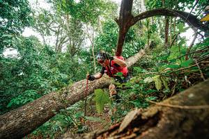 BIB: 
                            <button type="button" onclick="openModal(22779206)" class="btn btn-primary btn-sm float-right btn-popup" data-toggle="modal" data-target=".modal-high-quality">
                        <i class="fas fa-shopping-cart"></i> Add to Cart
                    </button>
                                            <button type="button" onclick="isThisMe(22779206, true)" class="btn btn-success btn-sm float-right btn-popup btn-isme hidden" data-toggle="tooltip" data-placement="bottom" title="นี่คือรูปของคุณใช่ไหม คลิกที่นี่เพื่อเอาเข้าอัลบั้ม">
                        <i class="fas fa-plus"></i> Add to album
                    </button>
                    <button type="button" onclick="isThisMe(22779206, false)" class="btn btn-warning btn-sm float-right btn-popup btn-isnotme hidden">
                        <i class="fas fa-ban"></i> Remove from album
                    </button>