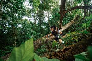 BIB: 
                            <button type="button" onclick="openModal(22777417)" class="btn btn-primary btn-sm float-right btn-popup" data-toggle="modal" data-target=".modal-high-quality">
                        <i class="fas fa-shopping-cart"></i> Add to Cart
                    </button>
                                            <button type="button" onclick="isThisMe(22777417, true)" class="btn btn-success btn-sm float-right btn-popup btn-isme hidden" data-toggle="tooltip" data-placement="bottom" title="นี่คือรูปของคุณใช่ไหม คลิกที่นี่เพื่อเอาเข้าอัลบั้ม">
                        <i class="fas fa-plus"></i> Add to album
                    </button>
                    <button type="button" onclick="isThisMe(22777417, false)" class="btn btn-warning btn-sm float-right btn-popup btn-isnotme hidden">
                        <i class="fas fa-ban"></i> Remove from album
                    </button>