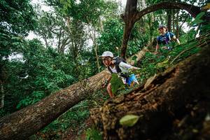 BIB: 
                            <button type="button" onclick="openModal(22779049)" class="btn btn-primary btn-sm float-right btn-popup" data-toggle="modal" data-target=".modal-high-quality">
                        <i class="fas fa-shopping-cart"></i> Add to Cart
                    </button>
                                            <button type="button" onclick="isThisMe(22779049, true)" class="btn btn-success btn-sm float-right btn-popup btn-isme hidden" data-toggle="tooltip" data-placement="bottom" title="นี่คือรูปของคุณใช่ไหม คลิกที่นี่เพื่อเอาเข้าอัลบั้ม">
                        <i class="fas fa-plus"></i> Add to album
                    </button>
                    <button type="button" onclick="isThisMe(22779049, false)" class="btn btn-warning btn-sm float-right btn-popup btn-isnotme hidden">
                        <i class="fas fa-ban"></i> Remove from album
                    </button>