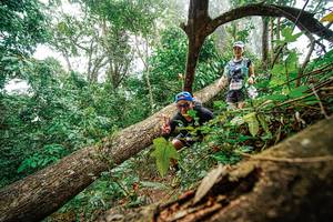 BIB: 
                            <button type="button" onclick="openModal(22779216)" class="btn btn-primary btn-sm float-right btn-popup" data-toggle="modal" data-target=".modal-high-quality">
                        <i class="fas fa-shopping-cart"></i> Add to Cart
                    </button>
                                            <button type="button" onclick="isThisMe(22779216, true)" class="btn btn-success btn-sm float-right btn-popup btn-isme hidden" data-toggle="tooltip" data-placement="bottom" title="นี่คือรูปของคุณใช่ไหม คลิกที่นี่เพื่อเอาเข้าอัลบั้ม">
                        <i class="fas fa-plus"></i> Add to album
                    </button>
                    <button type="button" onclick="isThisMe(22779216, false)" class="btn btn-warning btn-sm float-right btn-popup btn-isnotme hidden">
                        <i class="fas fa-ban"></i> Remove from album
                    </button>