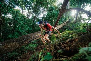 BIB: 18650
                            <button type="button" onclick="openModal(22777574)" class="btn btn-primary btn-sm float-right btn-popup" data-toggle="modal" data-target=".modal-high-quality">
                        <i class="fas fa-shopping-cart"></i> Add to Cart
                    </button>
                                            <button type="button" onclick="isThisMe(22777574, true)" class="btn btn-success btn-sm float-right btn-popup btn-isme hidden" data-toggle="tooltip" data-placement="bottom" title="นี่คือรูปของคุณใช่ไหม คลิกที่นี่เพื่อเอาเข้าอัลบั้ม">
                        <i class="fas fa-plus"></i> Add to album
                    </button>
                    <button type="button" onclick="isThisMe(22777574, false)" class="btn btn-warning btn-sm float-right btn-popup btn-isnotme hidden">
                        <i class="fas fa-ban"></i> Remove from album
                    </button>