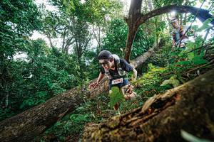 BIB: 
                            <button type="button" onclick="openModal(22778019)" class="btn btn-primary btn-sm float-right btn-popup" data-toggle="modal" data-target=".modal-high-quality">
                        <i class="fas fa-shopping-cart"></i> Add to Cart
                    </button>
                                            <button type="button" onclick="isThisMe(22778019, true)" class="btn btn-success btn-sm float-right btn-popup btn-isme hidden" data-toggle="tooltip" data-placement="bottom" title="นี่คือรูปของคุณใช่ไหม คลิกที่นี่เพื่อเอาเข้าอัลบั้ม">
                        <i class="fas fa-plus"></i> Add to album
                    </button>
                    <button type="button" onclick="isThisMe(22778019, false)" class="btn btn-warning btn-sm float-right btn-popup btn-isnotme hidden">
                        <i class="fas fa-ban"></i> Remove from album
                    </button>