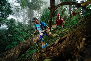 BIB: 
                            <button type="button" onclick="openModal(22779148)" class="btn btn-primary btn-sm float-right btn-popup" data-toggle="modal" data-target=".modal-high-quality">
                        <i class="fas fa-shopping-cart"></i> Add to Cart
                    </button>
                                            <button type="button" onclick="isThisMe(22779148, true)" class="btn btn-success btn-sm float-right btn-popup btn-isme hidden" data-toggle="tooltip" data-placement="bottom" title="นี่คือรูปของคุณใช่ไหม คลิกที่นี่เพื่อเอาเข้าอัลบั้ม">
                        <i class="fas fa-plus"></i> Add to album
                    </button>
                    <button type="button" onclick="isThisMe(22779148, false)" class="btn btn-warning btn-sm float-right btn-popup btn-isnotme hidden">
                        <i class="fas fa-ban"></i> Remove from album
                    </button>