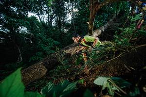 BIB: 
                            <button type="button" onclick="openModal(22775472)" class="btn btn-primary btn-sm float-right btn-popup" data-toggle="modal" data-target=".modal-high-quality">
                        <i class="fas fa-shopping-cart"></i> Add to Cart
                    </button>
                                            <button type="button" onclick="isThisMe(22775472, true)" class="btn btn-success btn-sm float-right btn-popup btn-isme hidden" data-toggle="tooltip" data-placement="bottom" title="นี่คือรูปของคุณใช่ไหม คลิกที่นี่เพื่อเอาเข้าอัลบั้ม">
                        <i class="fas fa-plus"></i> Add to album
                    </button>
                    <button type="button" onclick="isThisMe(22775472, false)" class="btn btn-warning btn-sm float-right btn-popup btn-isnotme hidden">
                        <i class="fas fa-ban"></i> Remove from album
                    </button>