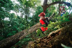 BIB: 
                            <button type="button" onclick="openModal(22778026)" class="btn btn-primary btn-sm float-right btn-popup" data-toggle="modal" data-target=".modal-high-quality">
                        <i class="fas fa-shopping-cart"></i> Add to Cart
                    </button>
                                            <button type="button" onclick="isThisMe(22778026, true)" class="btn btn-success btn-sm float-right btn-popup btn-isme hidden" data-toggle="tooltip" data-placement="bottom" title="นี่คือรูปของคุณใช่ไหม คลิกที่นี่เพื่อเอาเข้าอัลบั้ม">
                        <i class="fas fa-plus"></i> Add to album
                    </button>
                    <button type="button" onclick="isThisMe(22778026, false)" class="btn btn-warning btn-sm float-right btn-popup btn-isnotme hidden">
                        <i class="fas fa-ban"></i> Remove from album
                    </button>