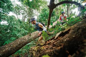 BIB: 
                            <button type="button" onclick="openModal(22779277)" class="btn btn-primary btn-sm float-right btn-popup" data-toggle="modal" data-target=".modal-high-quality">
                        <i class="fas fa-shopping-cart"></i> Add to Cart
                    </button>
                                            <button type="button" onclick="isThisMe(22779277, true)" class="btn btn-success btn-sm float-right btn-popup btn-isme hidden" data-toggle="tooltip" data-placement="bottom" title="นี่คือรูปของคุณใช่ไหม คลิกที่นี่เพื่อเอาเข้าอัลบั้ม">
                        <i class="fas fa-plus"></i> Add to album
                    </button>
                    <button type="button" onclick="isThisMe(22779277, false)" class="btn btn-warning btn-sm float-right btn-popup btn-isnotme hidden">
                        <i class="fas fa-ban"></i> Remove from album
                    </button>