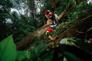 BIB: 
                            <button type="button" onclick="openModal(22776774)" class="btn btn-primary btn-sm float-right btn-popup" data-toggle="modal" data-target=".modal-high-quality">
                        <i class="fas fa-shopping-cart"></i> Add to Cart
                    </button>
                                            <button type="button" onclick="isThisMe(22776774, true)" class="btn btn-success btn-sm float-right btn-popup btn-isme hidden" data-toggle="tooltip" data-placement="bottom" title="นี่คือรูปของคุณใช่ไหม คลิกที่นี่เพื่อเอาเข้าอัลบั้ม">
                        <i class="fas fa-plus"></i> Add to album
                    </button>
                    <button type="button" onclick="isThisMe(22776774, false)" class="btn btn-warning btn-sm float-right btn-popup btn-isnotme hidden">
                        <i class="fas fa-ban"></i> Remove from album
                    </button>