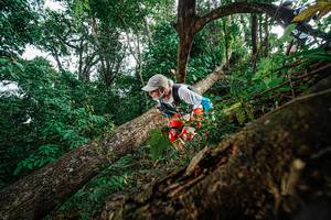 BIB: 
                            <button type="button" onclick="openModal(22778659)" class="btn btn-primary btn-sm float-right btn-popup" data-toggle="modal" data-target=".modal-high-quality">
                        <i class="fas fa-shopping-cart"></i> Add to Cart
                    </button>
                                            <button type="button" onclick="isThisMe(22778659, true)" class="btn btn-success btn-sm float-right btn-popup btn-isme hidden" data-toggle="tooltip" data-placement="bottom" title="นี่คือรูปของคุณใช่ไหม คลิกที่นี่เพื่อเอาเข้าอัลบั้ม">
                        <i class="fas fa-plus"></i> Add to album
                    </button>
                    <button type="button" onclick="isThisMe(22778659, false)" class="btn btn-warning btn-sm float-right btn-popup btn-isnotme hidden">
                        <i class="fas fa-ban"></i> Remove from album
                    </button>