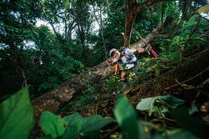 BIB: 
                            <button type="button" onclick="openModal(22777219)" class="btn btn-primary btn-sm float-right btn-popup" data-toggle="modal" data-target=".modal-high-quality">
                        <i class="fas fa-shopping-cart"></i> Add to Cart
                    </button>
                                            <button type="button" onclick="isThisMe(22777219, true)" class="btn btn-success btn-sm float-right btn-popup btn-isme hidden" data-toggle="tooltip" data-placement="bottom" title="นี่คือรูปของคุณใช่ไหม คลิกที่นี่เพื่อเอาเข้าอัลบั้ม">
                        <i class="fas fa-plus"></i> Add to album
                    </button>
                    <button type="button" onclick="isThisMe(22777219, false)" class="btn btn-warning btn-sm float-right btn-popup btn-isnotme hidden">
                        <i class="fas fa-ban"></i> Remove from album
                    </button>