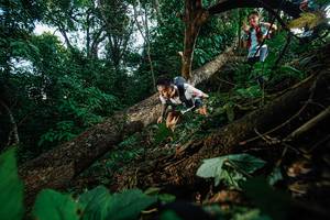 BIB: 
                            <button type="button" onclick="openModal(22777166)" class="btn btn-primary btn-sm float-right btn-popup" data-toggle="modal" data-target=".modal-high-quality">
                        <i class="fas fa-shopping-cart"></i> Add to Cart
                    </button>
                                            <button type="button" onclick="isThisMe(22777166, true)" class="btn btn-success btn-sm float-right btn-popup btn-isme hidden" data-toggle="tooltip" data-placement="bottom" title="นี่คือรูปของคุณใช่ไหม คลิกที่นี่เพื่อเอาเข้าอัลบั้ม">
                        <i class="fas fa-plus"></i> Add to album
                    </button>
                    <button type="button" onclick="isThisMe(22777166, false)" class="btn btn-warning btn-sm float-right btn-popup btn-isnotme hidden">
                        <i class="fas fa-ban"></i> Remove from album
                    </button>