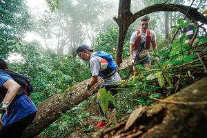 BIB: 
                            <button type="button" onclick="openModal(22779219)" class="btn btn-primary btn-sm float-right btn-popup" data-toggle="modal" data-target=".modal-high-quality">
                        <i class="fas fa-shopping-cart"></i> Add to Cart
                    </button>
                                            <button type="button" onclick="isThisMe(22779219, true)" class="btn btn-success btn-sm float-right btn-popup btn-isme hidden" data-toggle="tooltip" data-placement="bottom" title="นี่คือรูปของคุณใช่ไหม คลิกที่นี่เพื่อเอาเข้าอัลบั้ม">
                        <i class="fas fa-plus"></i> Add to album
                    </button>
                    <button type="button" onclick="isThisMe(22779219, false)" class="btn btn-warning btn-sm float-right btn-popup btn-isnotme hidden">
                        <i class="fas fa-ban"></i> Remove from album
                    </button>