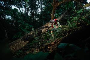 BIB: 
                            <button type="button" onclick="openModal(22775238)" class="btn btn-primary btn-sm float-right btn-popup" data-toggle="modal" data-target=".modal-high-quality">
                        <i class="fas fa-shopping-cart"></i> Add to Cart
                    </button>
                                            <button type="button" onclick="isThisMe(22775238, true)" class="btn btn-success btn-sm float-right btn-popup btn-isme hidden" data-toggle="tooltip" data-placement="bottom" title="นี่คือรูปของคุณใช่ไหม คลิกที่นี่เพื่อเอาเข้าอัลบั้ม">
                        <i class="fas fa-plus"></i> Add to album
                    </button>
                    <button type="button" onclick="isThisMe(22775238, false)" class="btn btn-warning btn-sm float-right btn-popup btn-isnotme hidden">
                        <i class="fas fa-ban"></i> Remove from album
                    </button>