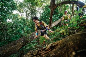 BIB: 
                            <button type="button" onclick="openModal(22778578)" class="btn btn-primary btn-sm float-right btn-popup" data-toggle="modal" data-target=".modal-high-quality">
                        <i class="fas fa-shopping-cart"></i> Add to Cart
                    </button>
                                            <button type="button" onclick="isThisMe(22778578, true)" class="btn btn-success btn-sm float-right btn-popup btn-isme hidden" data-toggle="tooltip" data-placement="bottom" title="นี่คือรูปของคุณใช่ไหม คลิกที่นี่เพื่อเอาเข้าอัลบั้ม">
                        <i class="fas fa-plus"></i> Add to album
                    </button>
                    <button type="button" onclick="isThisMe(22778578, false)" class="btn btn-warning btn-sm float-right btn-popup btn-isnotme hidden">
                        <i class="fas fa-ban"></i> Remove from album
                    </button>