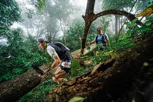 BIB: 474
                            <button type="button" onclick="openModal(22778873)" class="btn btn-primary btn-sm float-right btn-popup" data-toggle="modal" data-target=".modal-high-quality">
                        <i class="fas fa-shopping-cart"></i> Add to Cart
                    </button>
                                            <button type="button" onclick="isThisMe(22778873, true)" class="btn btn-success btn-sm float-right btn-popup btn-isme hidden" data-toggle="tooltip" data-placement="bottom" title="นี่คือรูปของคุณใช่ไหม คลิกที่นี่เพื่อเอาเข้าอัลบั้ม">
                        <i class="fas fa-plus"></i> Add to album
                    </button>
                    <button type="button" onclick="isThisMe(22778873, false)" class="btn btn-warning btn-sm float-right btn-popup btn-isnotme hidden">
                        <i class="fas fa-ban"></i> Remove from album
                    </button>