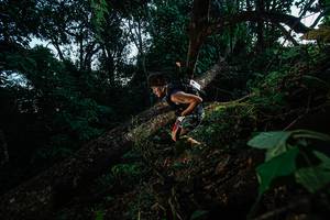 BIB: 
                            <button type="button" onclick="openModal(22775148)" class="btn btn-primary btn-sm float-right btn-popup" data-toggle="modal" data-target=".modal-high-quality">
                        <i class="fas fa-shopping-cart"></i> Add to Cart
                    </button>
                                            <button type="button" onclick="isThisMe(22775148, true)" class="btn btn-success btn-sm float-right btn-popup btn-isme hidden" data-toggle="tooltip" data-placement="bottom" title="นี่คือรูปของคุณใช่ไหม คลิกที่นี่เพื่อเอาเข้าอัลบั้ม">
                        <i class="fas fa-plus"></i> Add to album
                    </button>
                    <button type="button" onclick="isThisMe(22775148, false)" class="btn btn-warning btn-sm float-right btn-popup btn-isnotme hidden">
                        <i class="fas fa-ban"></i> Remove from album
                    </button>