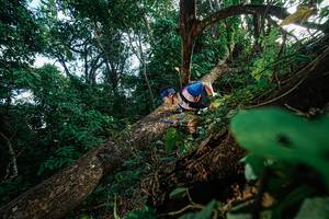 BIB: 
                            <button type="button" onclick="openModal(22777436)" class="btn btn-primary btn-sm float-right btn-popup" data-toggle="modal" data-target=".modal-high-quality">
                        <i class="fas fa-shopping-cart"></i> Add to Cart
                    </button>
                                            <button type="button" onclick="isThisMe(22777436, true)" class="btn btn-success btn-sm float-right btn-popup btn-isme hidden" data-toggle="tooltip" data-placement="bottom" title="นี่คือรูปของคุณใช่ไหม คลิกที่นี่เพื่อเอาเข้าอัลบั้ม">
                        <i class="fas fa-plus"></i> Add to album
                    </button>
                    <button type="button" onclick="isThisMe(22777436, false)" class="btn btn-warning btn-sm float-right btn-popup btn-isnotme hidden">
                        <i class="fas fa-ban"></i> Remove from album
                    </button>