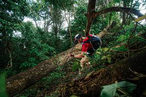 BIB: 
                            <button type="button" onclick="openModal(22777407)" class="btn btn-primary btn-sm float-right btn-popup" data-toggle="modal" data-target=".modal-high-quality">
                        <i class="fas fa-shopping-cart"></i> Add to Cart
                    </button>
                                            <button type="button" onclick="isThisMe(22777407, true)" class="btn btn-success btn-sm float-right btn-popup btn-isme hidden" data-toggle="tooltip" data-placement="bottom" title="นี่คือรูปของคุณใช่ไหม คลิกที่นี่เพื่อเอาเข้าอัลบั้ม">
                        <i class="fas fa-plus"></i> Add to album
                    </button>
                    <button type="button" onclick="isThisMe(22777407, false)" class="btn btn-warning btn-sm float-right btn-popup btn-isnotme hidden">
                        <i class="fas fa-ban"></i> Remove from album
                    </button>