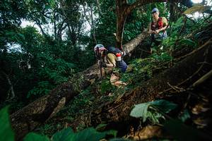 BIB: 
                            <button type="button" onclick="openModal(22777086)" class="btn btn-primary btn-sm float-right btn-popup" data-toggle="modal" data-target=".modal-high-quality">
                        <i class="fas fa-shopping-cart"></i> Add to Cart
                    </button>
                                            <button type="button" onclick="isThisMe(22777086, true)" class="btn btn-success btn-sm float-right btn-popup btn-isme hidden" data-toggle="tooltip" data-placement="bottom" title="นี่คือรูปของคุณใช่ไหม คลิกที่นี่เพื่อเอาเข้าอัลบั้ม">
                        <i class="fas fa-plus"></i> Add to album
                    </button>
                    <button type="button" onclick="isThisMe(22777086, false)" class="btn btn-warning btn-sm float-right btn-popup btn-isnotme hidden">
                        <i class="fas fa-ban"></i> Remove from album
                    </button>