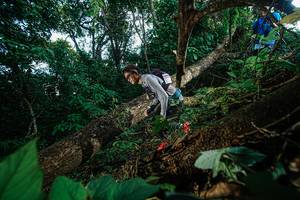 BIB: 
                            <button type="button" onclick="openModal(22777104)" class="btn btn-primary btn-sm float-right btn-popup" data-toggle="modal" data-target=".modal-high-quality">
                        <i class="fas fa-shopping-cart"></i> Add to Cart
                    </button>
                                            <button type="button" onclick="isThisMe(22777104, true)" class="btn btn-success btn-sm float-right btn-popup btn-isme hidden" data-toggle="tooltip" data-placement="bottom" title="นี่คือรูปของคุณใช่ไหม คลิกที่นี่เพื่อเอาเข้าอัลบั้ม">
                        <i class="fas fa-plus"></i> Add to album
                    </button>
                    <button type="button" onclick="isThisMe(22777104, false)" class="btn btn-warning btn-sm float-right btn-popup btn-isnotme hidden">
                        <i class="fas fa-ban"></i> Remove from album
                    </button>