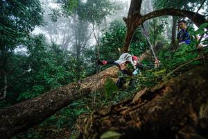 BIB: 
                            <button type="button" onclick="openModal(22778800)" class="btn btn-primary btn-sm float-right btn-popup" data-toggle="modal" data-target=".modal-high-quality">
                        <i class="fas fa-shopping-cart"></i> Add to Cart
                    </button>
                                            <button type="button" onclick="isThisMe(22778800, true)" class="btn btn-success btn-sm float-right btn-popup btn-isme hidden" data-toggle="tooltip" data-placement="bottom" title="นี่คือรูปของคุณใช่ไหม คลิกที่นี่เพื่อเอาเข้าอัลบั้ม">
                        <i class="fas fa-plus"></i> Add to album
                    </button>
                    <button type="button" onclick="isThisMe(22778800, false)" class="btn btn-warning btn-sm float-right btn-popup btn-isnotme hidden">
                        <i class="fas fa-ban"></i> Remove from album
                    </button>