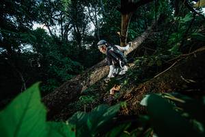 BIB: 
                            <button type="button" onclick="openModal(22775351)" class="btn btn-primary btn-sm float-right btn-popup" data-toggle="modal" data-target=".modal-high-quality">
                        <i class="fas fa-shopping-cart"></i> Add to Cart
                    </button>
                                            <button type="button" onclick="isThisMe(22775351, true)" class="btn btn-success btn-sm float-right btn-popup btn-isme hidden" data-toggle="tooltip" data-placement="bottom" title="นี่คือรูปของคุณใช่ไหม คลิกที่นี่เพื่อเอาเข้าอัลบั้ม">
                        <i class="fas fa-plus"></i> Add to album
                    </button>
                    <button type="button" onclick="isThisMe(22775351, false)" class="btn btn-warning btn-sm float-right btn-popup btn-isnotme hidden">
                        <i class="fas fa-ban"></i> Remove from album
                    </button>