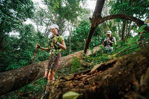 BIB: 
                            <button type="button" onclick="openModal(22778921)" class="btn btn-primary btn-sm float-right btn-popup" data-toggle="modal" data-target=".modal-high-quality">
                        <i class="fas fa-shopping-cart"></i> Add to Cart
                    </button>
                                            <button type="button" onclick="isThisMe(22778921, true)" class="btn btn-success btn-sm float-right btn-popup btn-isme hidden" data-toggle="tooltip" data-placement="bottom" title="นี่คือรูปของคุณใช่ไหม คลิกที่นี่เพื่อเอาเข้าอัลบั้ม">
                        <i class="fas fa-plus"></i> Add to album
                    </button>
                    <button type="button" onclick="isThisMe(22778921, false)" class="btn btn-warning btn-sm float-right btn-popup btn-isnotme hidden">
                        <i class="fas fa-ban"></i> Remove from album
                    </button>