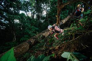 BIB: 
                            <button type="button" onclick="openModal(22775619)" class="btn btn-primary btn-sm float-right btn-popup" data-toggle="modal" data-target=".modal-high-quality">
                        <i class="fas fa-shopping-cart"></i> Add to Cart
                    </button>
                                            <button type="button" onclick="isThisMe(22775619, true)" class="btn btn-success btn-sm float-right btn-popup btn-isme hidden" data-toggle="tooltip" data-placement="bottom" title="นี่คือรูปของคุณใช่ไหม คลิกที่นี่เพื่อเอาเข้าอัลบั้ม">
                        <i class="fas fa-plus"></i> Add to album
                    </button>
                    <button type="button" onclick="isThisMe(22775619, false)" class="btn btn-warning btn-sm float-right btn-popup btn-isnotme hidden">
                        <i class="fas fa-ban"></i> Remove from album
                    </button>