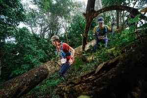 BIB: 65657
                            <button type="button" onclick="openModal(22778785)" class="btn btn-primary btn-sm float-right btn-popup" data-toggle="modal" data-target=".modal-high-quality">
                        <i class="fas fa-shopping-cart"></i> Add to Cart
                    </button>
                                            <button type="button" onclick="isThisMe(22778785, true)" class="btn btn-success btn-sm float-right btn-popup btn-isme hidden" data-toggle="tooltip" data-placement="bottom" title="นี่คือรูปของคุณใช่ไหม คลิกที่นี่เพื่อเอาเข้าอัลบั้ม">
                        <i class="fas fa-plus"></i> Add to album
                    </button>
                    <button type="button" onclick="isThisMe(22778785, false)" class="btn btn-warning btn-sm float-right btn-popup btn-isnotme hidden">
                        <i class="fas fa-ban"></i> Remove from album
                    </button>