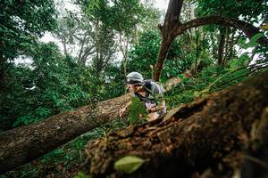 BIB: 
                            <button type="button" onclick="openModal(22778948)" class="btn btn-primary btn-sm float-right btn-popup" data-toggle="modal" data-target=".modal-high-quality">
                        <i class="fas fa-shopping-cart"></i> Add to Cart
                    </button>
                                            <button type="button" onclick="isThisMe(22778948, true)" class="btn btn-success btn-sm float-right btn-popup btn-isme hidden" data-toggle="tooltip" data-placement="bottom" title="นี่คือรูปของคุณใช่ไหม คลิกที่นี่เพื่อเอาเข้าอัลบั้ม">
                        <i class="fas fa-plus"></i> Add to album
                    </button>
                    <button type="button" onclick="isThisMe(22778948, false)" class="btn btn-warning btn-sm float-right btn-popup btn-isnotme hidden">
                        <i class="fas fa-ban"></i> Remove from album
                    </button>