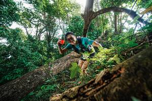 BIB: 
                            <button type="button" onclick="openModal(22778097)" class="btn btn-primary btn-sm float-right btn-popup" data-toggle="modal" data-target=".modal-high-quality">
                        <i class="fas fa-shopping-cart"></i> Add to Cart
                    </button>
                                            <button type="button" onclick="isThisMe(22778097, true)" class="btn btn-success btn-sm float-right btn-popup btn-isme hidden" data-toggle="tooltip" data-placement="bottom" title="นี่คือรูปของคุณใช่ไหม คลิกที่นี่เพื่อเอาเข้าอัลบั้ม">
                        <i class="fas fa-plus"></i> Add to album
                    </button>
                    <button type="button" onclick="isThisMe(22778097, false)" class="btn btn-warning btn-sm float-right btn-popup btn-isnotme hidden">
                        <i class="fas fa-ban"></i> Remove from album
                    </button>