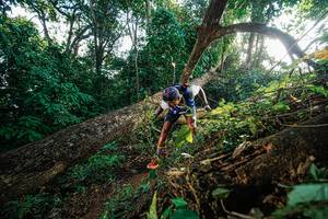 BIB: 
                            <button type="button" onclick="openModal(22777567)" class="btn btn-primary btn-sm float-right btn-popup" data-toggle="modal" data-target=".modal-high-quality">
                        <i class="fas fa-shopping-cart"></i> Add to Cart
                    </button>
                                            <button type="button" onclick="isThisMe(22777567, true)" class="btn btn-success btn-sm float-right btn-popup btn-isme hidden" data-toggle="tooltip" data-placement="bottom" title="นี่คือรูปของคุณใช่ไหม คลิกที่นี่เพื่อเอาเข้าอัลบั้ม">
                        <i class="fas fa-plus"></i> Add to album
                    </button>
                    <button type="button" onclick="isThisMe(22777567, false)" class="btn btn-warning btn-sm float-right btn-popup btn-isnotme hidden">
                        <i class="fas fa-ban"></i> Remove from album
                    </button>