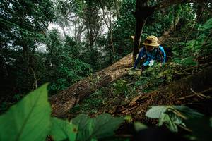 BIB: 
                            <button type="button" onclick="openModal(22776819)" class="btn btn-primary btn-sm float-right btn-popup" data-toggle="modal" data-target=".modal-high-quality">
                        <i class="fas fa-shopping-cart"></i> Add to Cart
                    </button>
                                            <button type="button" onclick="isThisMe(22776819, true)" class="btn btn-success btn-sm float-right btn-popup btn-isme hidden" data-toggle="tooltip" data-placement="bottom" title="นี่คือรูปของคุณใช่ไหม คลิกที่นี่เพื่อเอาเข้าอัลบั้ม">
                        <i class="fas fa-plus"></i> Add to album
                    </button>
                    <button type="button" onclick="isThisMe(22776819, false)" class="btn btn-warning btn-sm float-right btn-popup btn-isnotme hidden">
                        <i class="fas fa-ban"></i> Remove from album
                    </button>