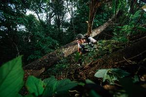 BIB: 
                            <button type="button" onclick="openModal(22776944)" class="btn btn-primary btn-sm float-right btn-popup" data-toggle="modal" data-target=".modal-high-quality">
                        <i class="fas fa-shopping-cart"></i> Add to Cart
                    </button>
                                            <button type="button" onclick="isThisMe(22776944, true)" class="btn btn-success btn-sm float-right btn-popup btn-isme hidden" data-toggle="tooltip" data-placement="bottom" title="นี่คือรูปของคุณใช่ไหม คลิกที่นี่เพื่อเอาเข้าอัลบั้ม">
                        <i class="fas fa-plus"></i> Add to album
                    </button>
                    <button type="button" onclick="isThisMe(22776944, false)" class="btn btn-warning btn-sm float-right btn-popup btn-isnotme hidden">
                        <i class="fas fa-ban"></i> Remove from album
                    </button>