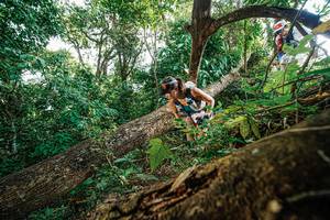 BIB: 
                            <button type="button" onclick="openModal(22778585)" class="btn btn-primary btn-sm float-right btn-popup" data-toggle="modal" data-target=".modal-high-quality">
                        <i class="fas fa-shopping-cart"></i> Add to Cart
                    </button>
                                            <button type="button" onclick="isThisMe(22778585, true)" class="btn btn-success btn-sm float-right btn-popup btn-isme hidden" data-toggle="tooltip" data-placement="bottom" title="นี่คือรูปของคุณใช่ไหม คลิกที่นี่เพื่อเอาเข้าอัลบั้ม">
                        <i class="fas fa-plus"></i> Add to album
                    </button>
                    <button type="button" onclick="isThisMe(22778585, false)" class="btn btn-warning btn-sm float-right btn-popup btn-isnotme hidden">
                        <i class="fas fa-ban"></i> Remove from album
                    </button>