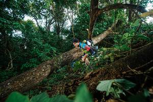 BIB: 
                            <button type="button" onclick="openModal(22777232)" class="btn btn-primary btn-sm float-right btn-popup" data-toggle="modal" data-target=".modal-high-quality">
                        <i class="fas fa-shopping-cart"></i> Add to Cart
                    </button>
                                            <button type="button" onclick="isThisMe(22777232, true)" class="btn btn-success btn-sm float-right btn-popup btn-isme hidden" data-toggle="tooltip" data-placement="bottom" title="นี่คือรูปของคุณใช่ไหม คลิกที่นี่เพื่อเอาเข้าอัลบั้ม">
                        <i class="fas fa-plus"></i> Add to album
                    </button>
                    <button type="button" onclick="isThisMe(22777232, false)" class="btn btn-warning btn-sm float-right btn-popup btn-isnotme hidden">
                        <i class="fas fa-ban"></i> Remove from album
                    </button>