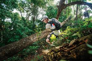 BIB: 
                            <button type="button" onclick="openModal(22777675)" class="btn btn-primary btn-sm float-right btn-popup" data-toggle="modal" data-target=".modal-high-quality">
                        <i class="fas fa-shopping-cart"></i> Add to Cart
                    </button>
                                            <button type="button" onclick="isThisMe(22777675, true)" class="btn btn-success btn-sm float-right btn-popup btn-isme hidden" data-toggle="tooltip" data-placement="bottom" title="นี่คือรูปของคุณใช่ไหม คลิกที่นี่เพื่อเอาเข้าอัลบั้ม">
                        <i class="fas fa-plus"></i> Add to album
                    </button>
                    <button type="button" onclick="isThisMe(22777675, false)" class="btn btn-warning btn-sm float-right btn-popup btn-isnotme hidden">
                        <i class="fas fa-ban"></i> Remove from album
                    </button>