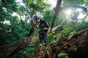 BIB: 
                            <button type="button" onclick="openModal(22777756)" class="btn btn-primary btn-sm float-right btn-popup" data-toggle="modal" data-target=".modal-high-quality">
                        <i class="fas fa-shopping-cart"></i> Add to Cart
                    </button>
                                            <button type="button" onclick="isThisMe(22777756, true)" class="btn btn-success btn-sm float-right btn-popup btn-isme hidden" data-toggle="tooltip" data-placement="bottom" title="นี่คือรูปของคุณใช่ไหม คลิกที่นี่เพื่อเอาเข้าอัลบั้ม">
                        <i class="fas fa-plus"></i> Add to album
                    </button>
                    <button type="button" onclick="isThisMe(22777756, false)" class="btn btn-warning btn-sm float-right btn-popup btn-isnotme hidden">
                        <i class="fas fa-ban"></i> Remove from album
                    </button>