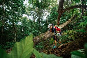 BIB: 
                            <button type="button" onclick="openModal(22777415)" class="btn btn-primary btn-sm float-right btn-popup" data-toggle="modal" data-target=".modal-high-quality">
                        <i class="fas fa-shopping-cart"></i> Add to Cart
                    </button>
                                            <button type="button" onclick="isThisMe(22777415, true)" class="btn btn-success btn-sm float-right btn-popup btn-isme hidden" data-toggle="tooltip" data-placement="bottom" title="นี่คือรูปของคุณใช่ไหม คลิกที่นี่เพื่อเอาเข้าอัลบั้ม">
                        <i class="fas fa-plus"></i> Add to album
                    </button>
                    <button type="button" onclick="isThisMe(22777415, false)" class="btn btn-warning btn-sm float-right btn-popup btn-isnotme hidden">
                        <i class="fas fa-ban"></i> Remove from album
                    </button>