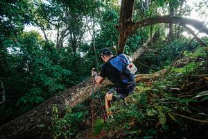 BIB: 
                            <button type="button" onclick="openModal(22777493)" class="btn btn-primary btn-sm float-right btn-popup" data-toggle="modal" data-target=".modal-high-quality">
                        <i class="fas fa-shopping-cart"></i> Add to Cart
                    </button>
                                            <button type="button" onclick="isThisMe(22777493, true)" class="btn btn-success btn-sm float-right btn-popup btn-isme hidden" data-toggle="tooltip" data-placement="bottom" title="นี่คือรูปของคุณใช่ไหม คลิกที่นี่เพื่อเอาเข้าอัลบั้ม">
                        <i class="fas fa-plus"></i> Add to album
                    </button>
                    <button type="button" onclick="isThisMe(22777493, false)" class="btn btn-warning btn-sm float-right btn-popup btn-isnotme hidden">
                        <i class="fas fa-ban"></i> Remove from album
                    </button>