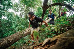 BIB: 
                            <button type="button" onclick="openModal(22779204)" class="btn btn-primary btn-sm float-right btn-popup" data-toggle="modal" data-target=".modal-high-quality">
                        <i class="fas fa-shopping-cart"></i> Add to Cart
                    </button>
                                            <button type="button" onclick="isThisMe(22779204, true)" class="btn btn-success btn-sm float-right btn-popup btn-isme hidden" data-toggle="tooltip" data-placement="bottom" title="นี่คือรูปของคุณใช่ไหม คลิกที่นี่เพื่อเอาเข้าอัลบั้ม">
                        <i class="fas fa-plus"></i> Add to album
                    </button>
                    <button type="button" onclick="isThisMe(22779204, false)" class="btn btn-warning btn-sm float-right btn-popup btn-isnotme hidden">
                        <i class="fas fa-ban"></i> Remove from album
                    </button>