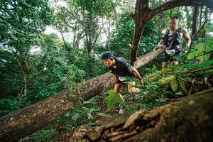 BIB: 
                            <button type="button" onclick="openModal(22778527)" class="btn btn-primary btn-sm float-right btn-popup" data-toggle="modal" data-target=".modal-high-quality">
                        <i class="fas fa-shopping-cart"></i> Add to Cart
                    </button>
                                            <button type="button" onclick="isThisMe(22778527, true)" class="btn btn-success btn-sm float-right btn-popup btn-isme hidden" data-toggle="tooltip" data-placement="bottom" title="นี่คือรูปของคุณใช่ไหม คลิกที่นี่เพื่อเอาเข้าอัลบั้ม">
                        <i class="fas fa-plus"></i> Add to album
                    </button>
                    <button type="button" onclick="isThisMe(22778527, false)" class="btn btn-warning btn-sm float-right btn-popup btn-isnotme hidden">
                        <i class="fas fa-ban"></i> Remove from album
                    </button>