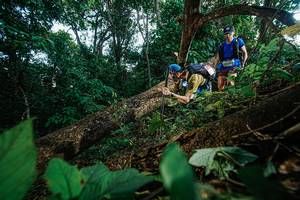 BIB: 
                            <button type="button" onclick="openModal(22777213)" class="btn btn-primary btn-sm float-right btn-popup" data-toggle="modal" data-target=".modal-high-quality">
                        <i class="fas fa-shopping-cart"></i> Add to Cart
                    </button>
                                            <button type="button" onclick="isThisMe(22777213, true)" class="btn btn-success btn-sm float-right btn-popup btn-isme hidden" data-toggle="tooltip" data-placement="bottom" title="นี่คือรูปของคุณใช่ไหม คลิกที่นี่เพื่อเอาเข้าอัลบั้ม">
                        <i class="fas fa-plus"></i> Add to album
                    </button>
                    <button type="button" onclick="isThisMe(22777213, false)" class="btn btn-warning btn-sm float-right btn-popup btn-isnotme hidden">
                        <i class="fas fa-ban"></i> Remove from album
                    </button>