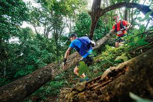 BIB: 
                            <button type="button" onclick="openModal(22778023)" class="btn btn-primary btn-sm float-right btn-popup" data-toggle="modal" data-target=".modal-high-quality">
                        <i class="fas fa-shopping-cart"></i> Add to Cart
                    </button>
                                            <button type="button" onclick="isThisMe(22778023, true)" class="btn btn-success btn-sm float-right btn-popup btn-isme hidden" data-toggle="tooltip" data-placement="bottom" title="นี่คือรูปของคุณใช่ไหม คลิกที่นี่เพื่อเอาเข้าอัลบั้ม">
                        <i class="fas fa-plus"></i> Add to album
                    </button>
                    <button type="button" onclick="isThisMe(22778023, false)" class="btn btn-warning btn-sm float-right btn-popup btn-isnotme hidden">
                        <i class="fas fa-ban"></i> Remove from album
                    </button>